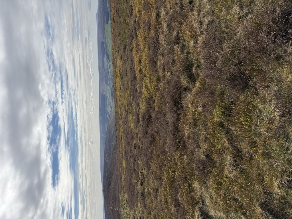 Cold Moor