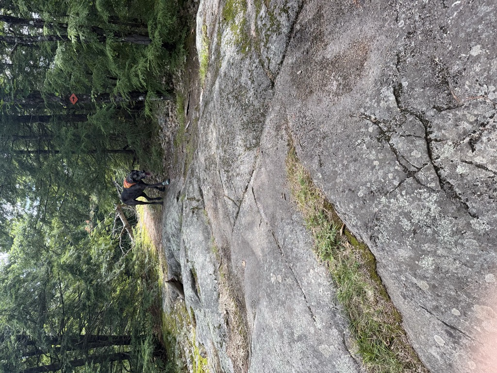 Bartonville Mountain