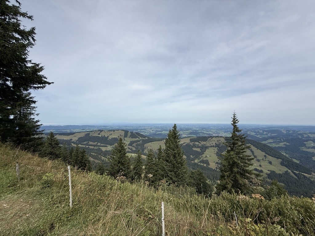 Rohnehöhe