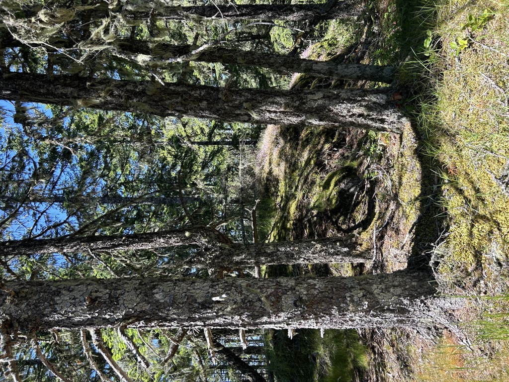 Thunderbird Mountain
