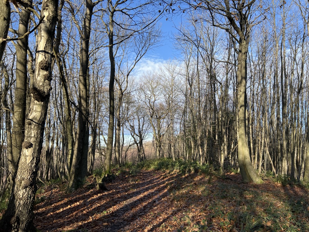 Ridge Hill