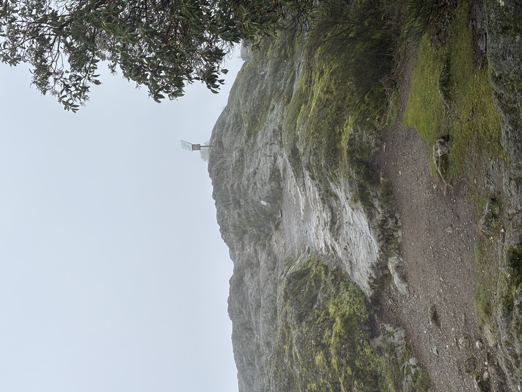 Mount Finlayson