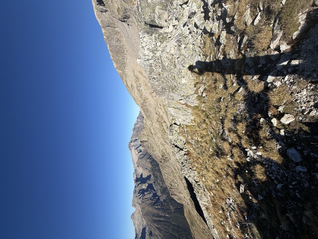 Collada Ubaga
