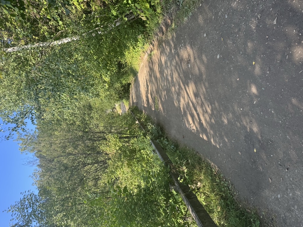 Vava