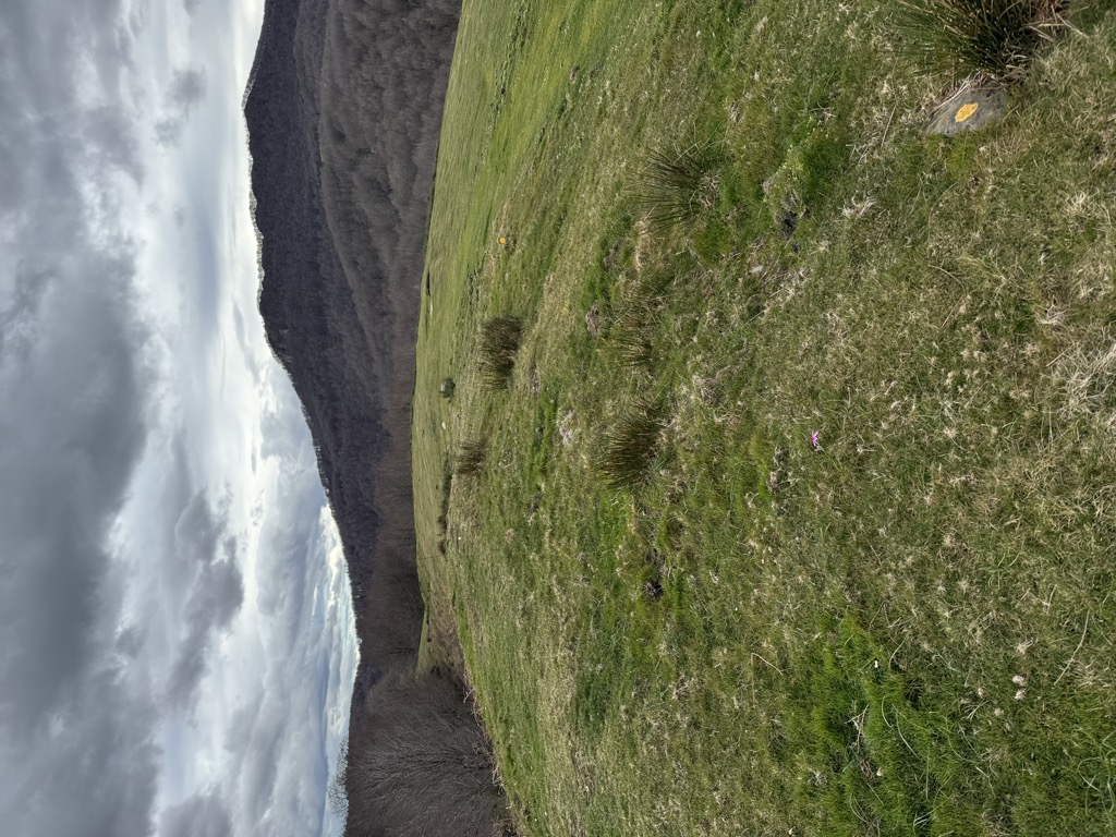 Iramendi