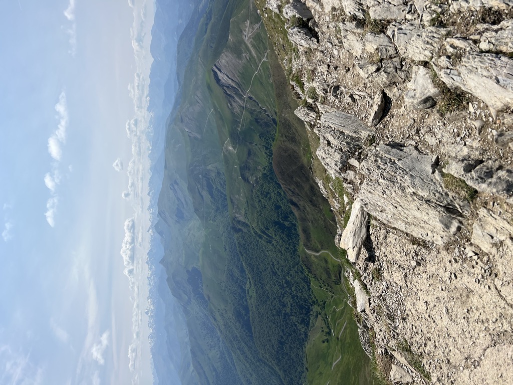 Orhi