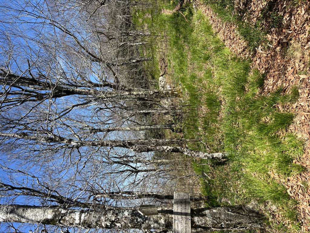 Saddle Tree Gap