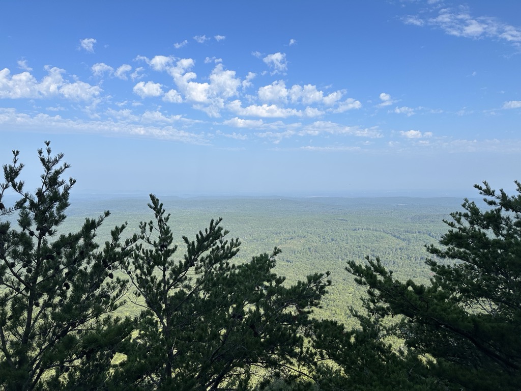 McDill Point