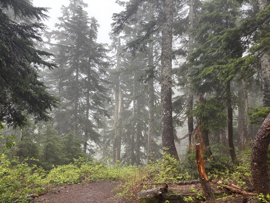 Hemlock Pass