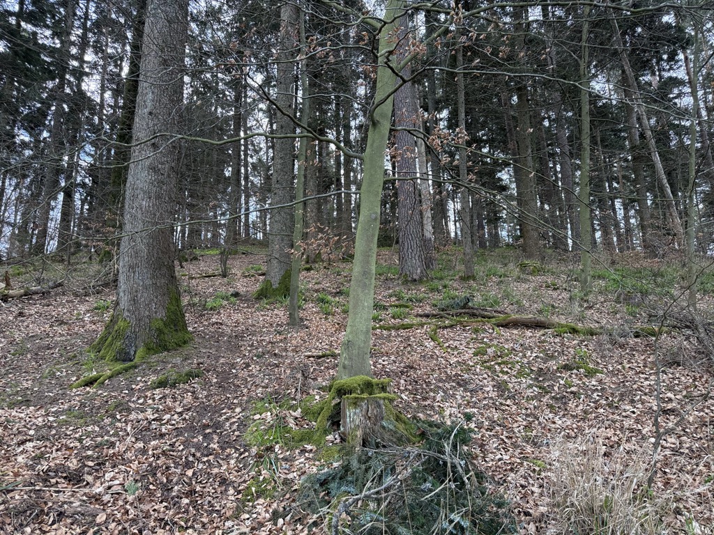 Schaenzelkopf