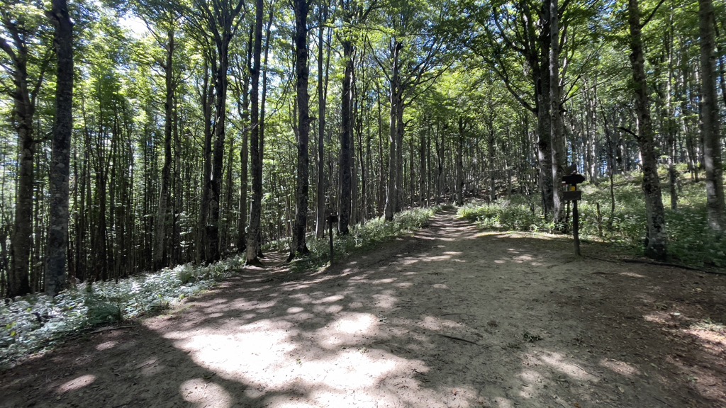 Passo della Crocina