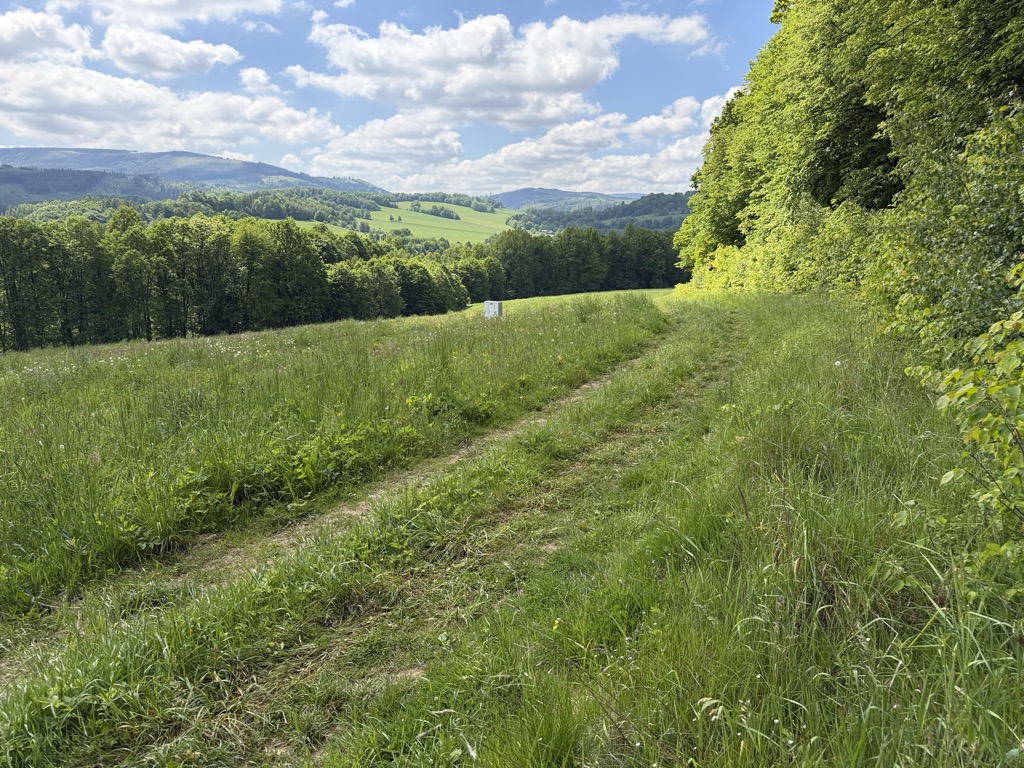 Skalna Góra