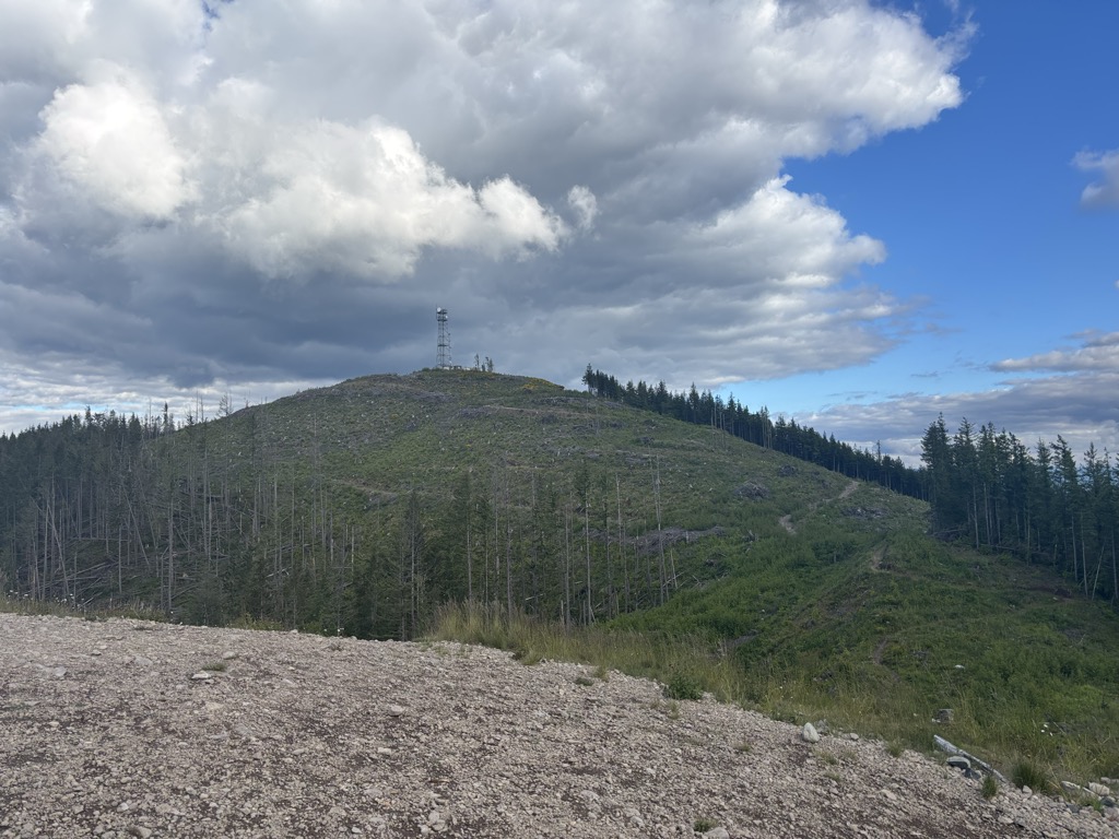 West Tiger #3