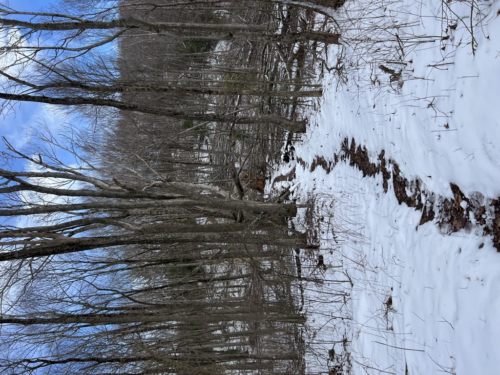 Double Spring Gap