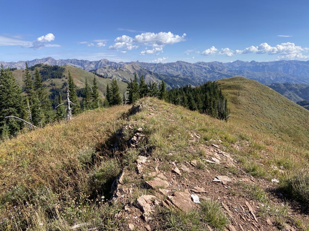 Cream Puff Peak