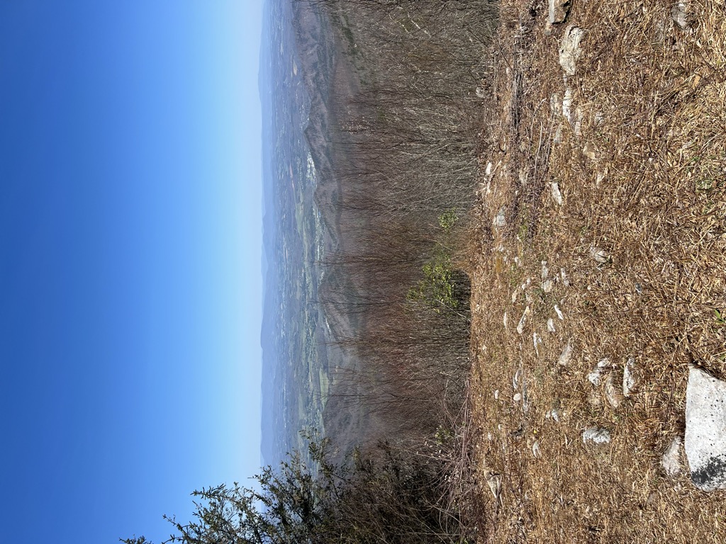 Bluff Mountain