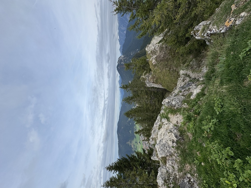 Brunnberg