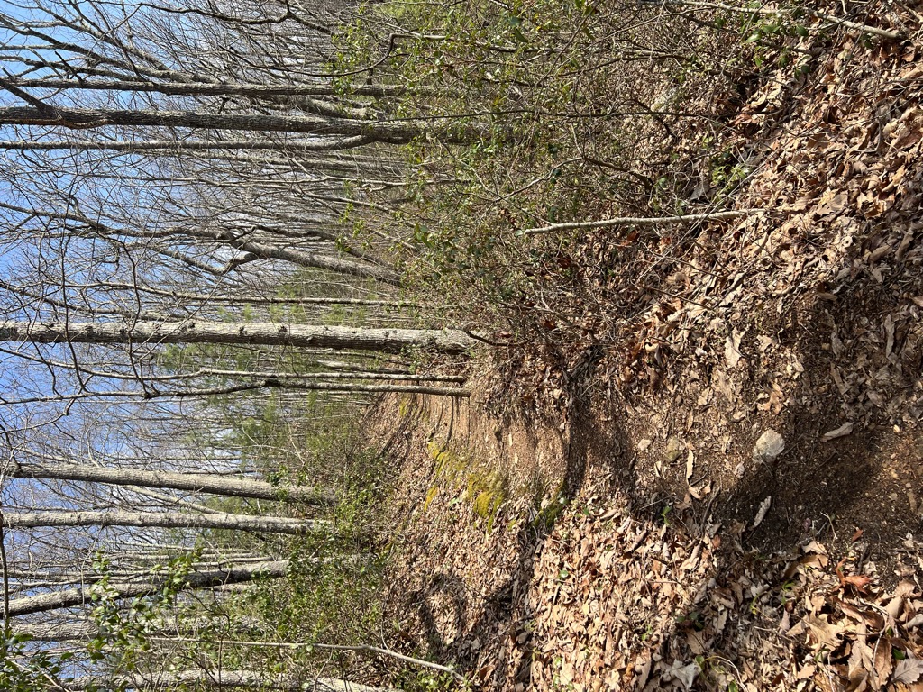 Snake Den Ridge