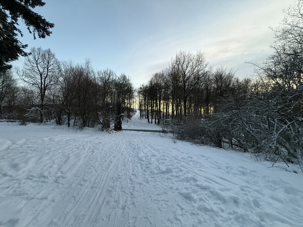 Rehbergpass