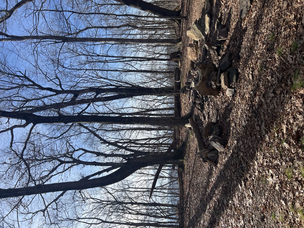Mart Fields Campsite
