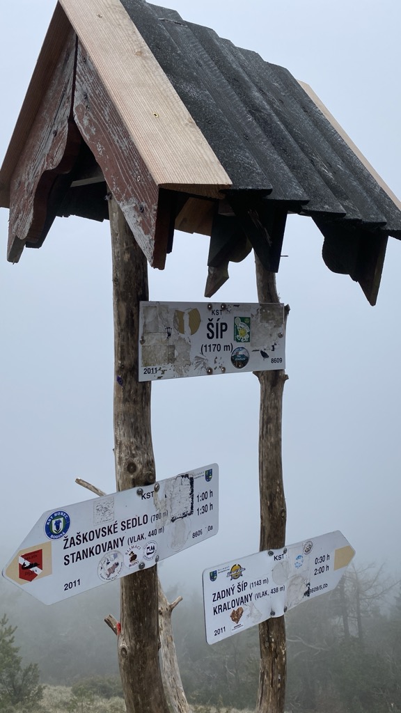 Šíp