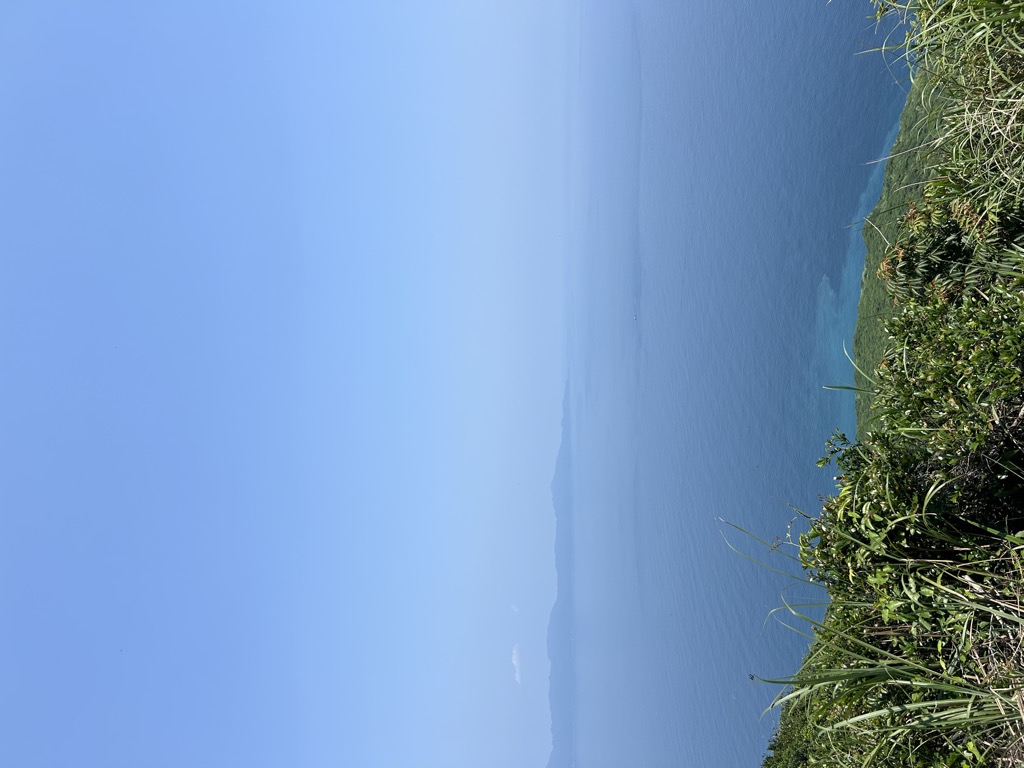 陳米月