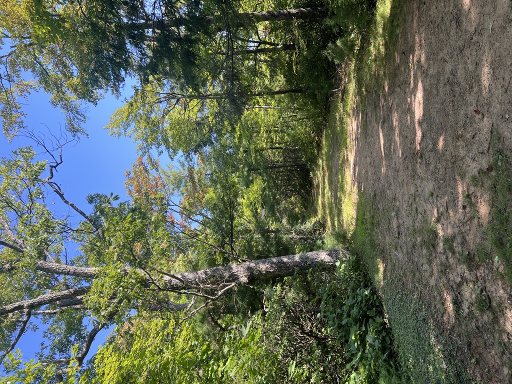 Sandy Gap