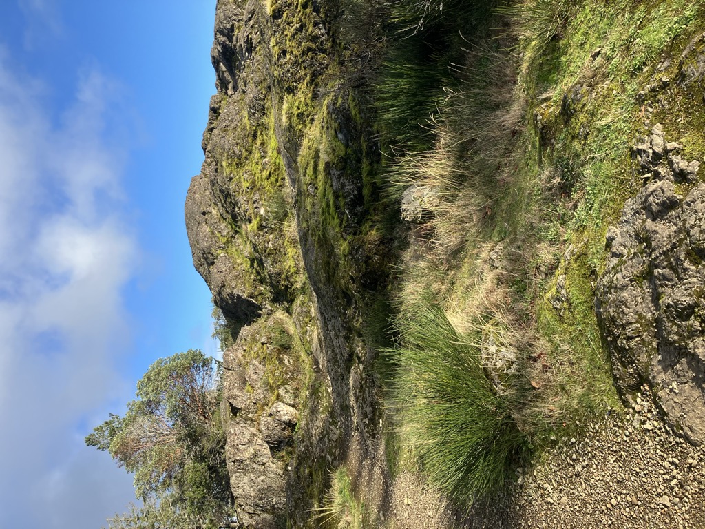 Mount Finlayson