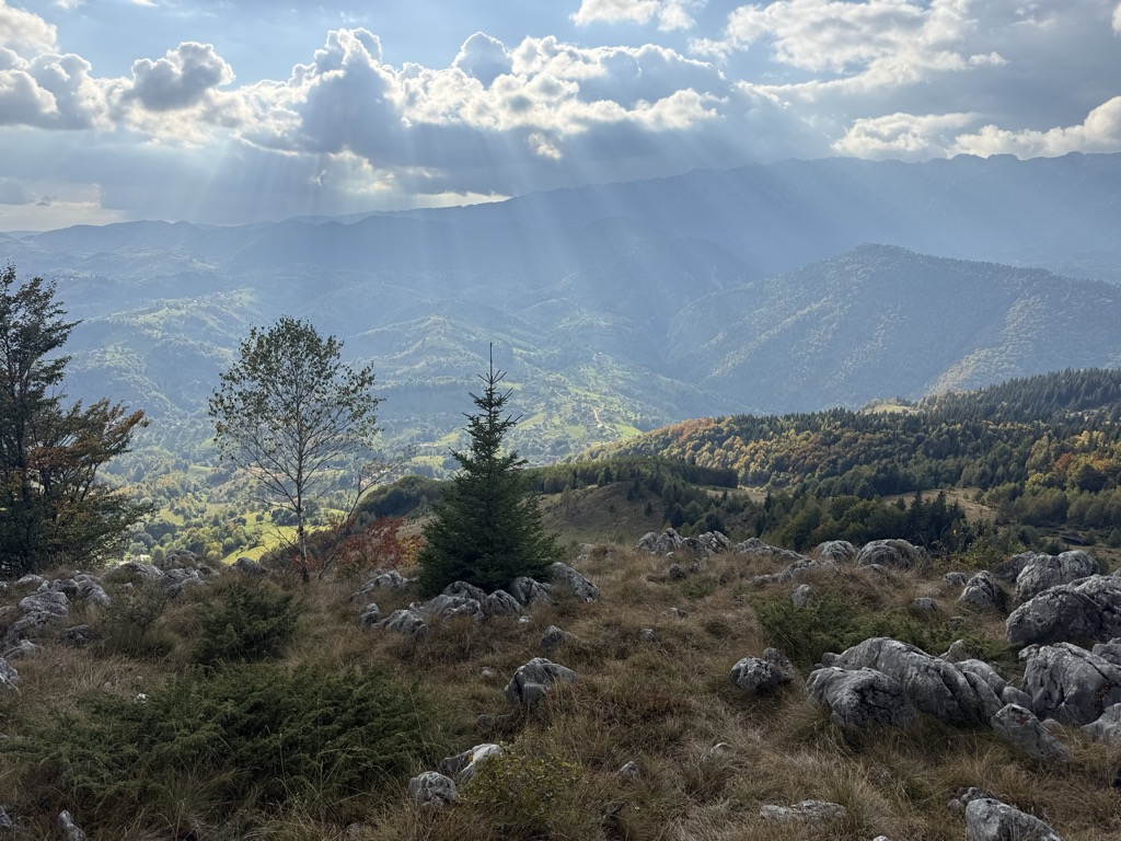 Gălbinarea