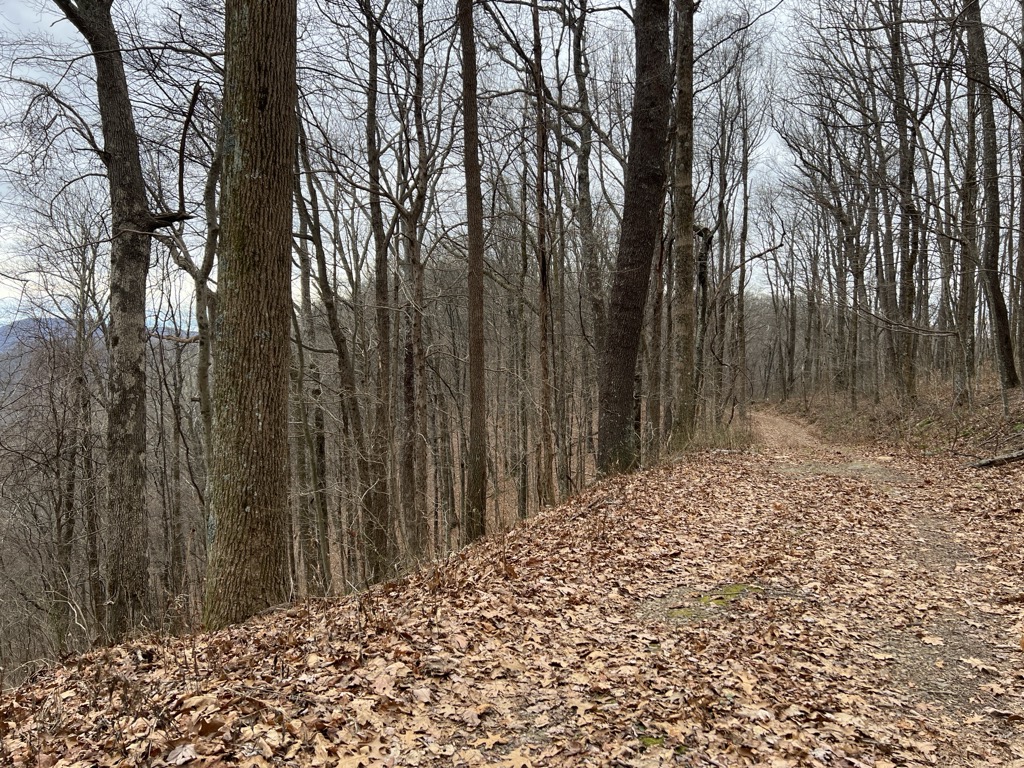 Little Fork Mountain