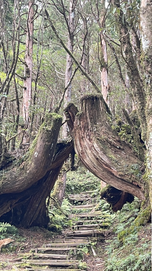 Tàipíng Shānzhuāng