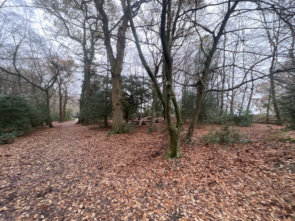 Box Hill