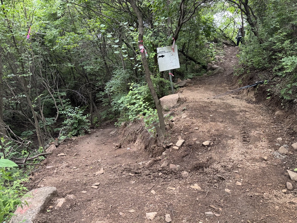 王萍