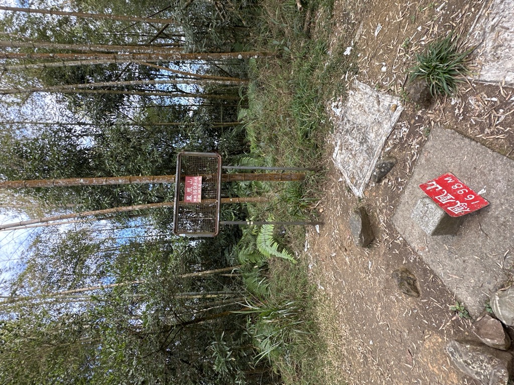 Fenghuangshan