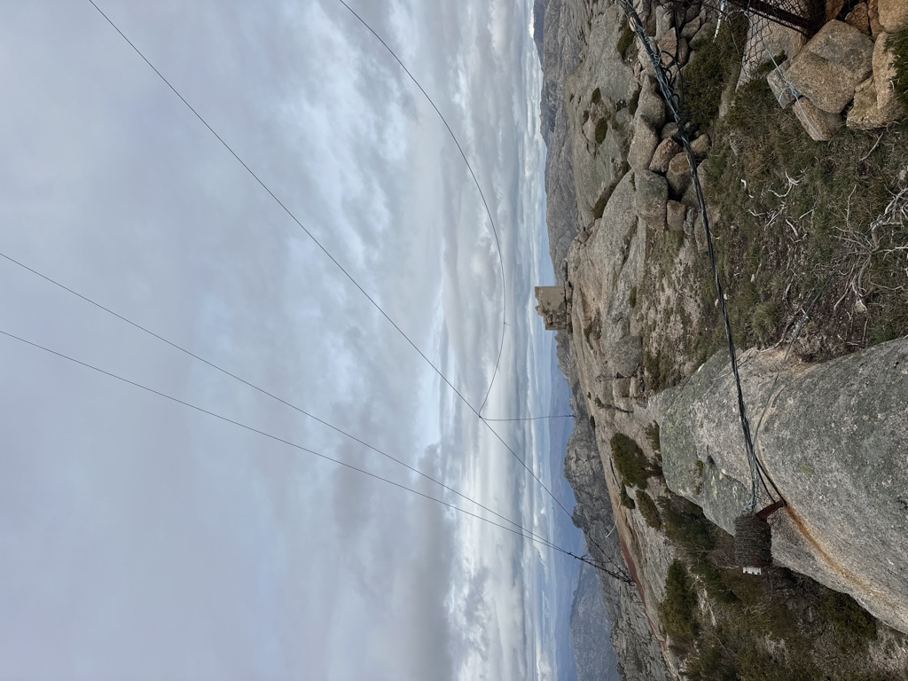 Borrageiro