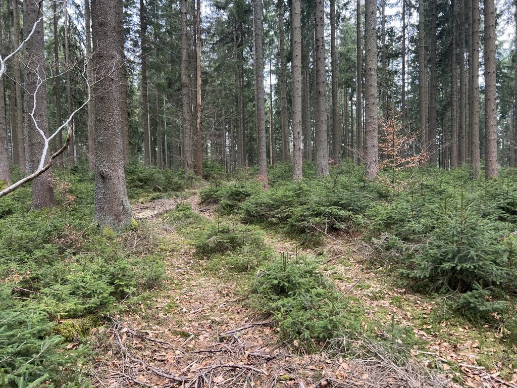 Soví vrch