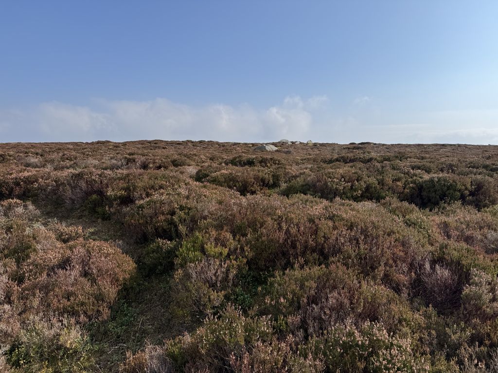 High Brown Hill