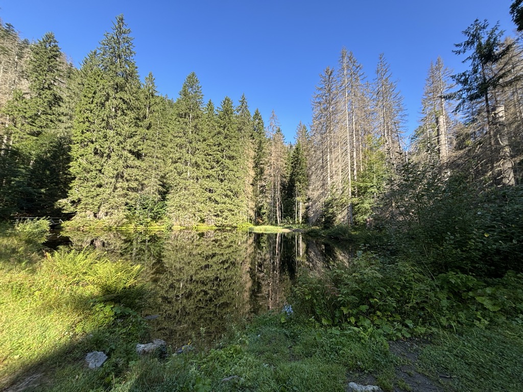 Höllbachschwelle