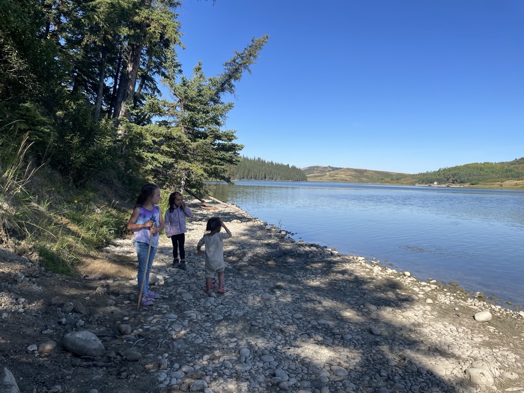 Reesor Lake