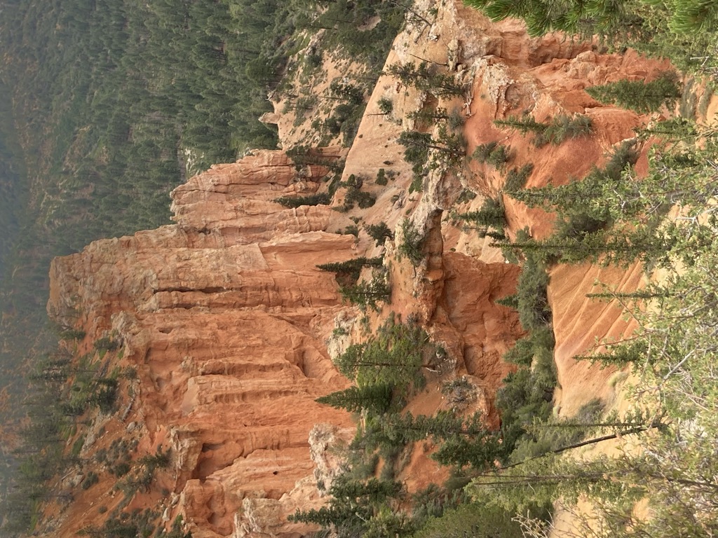 Farview Point