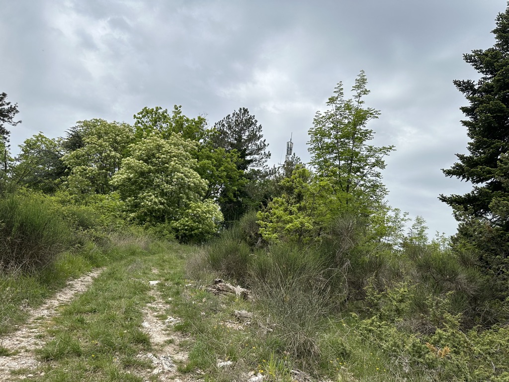 Monte la Croce