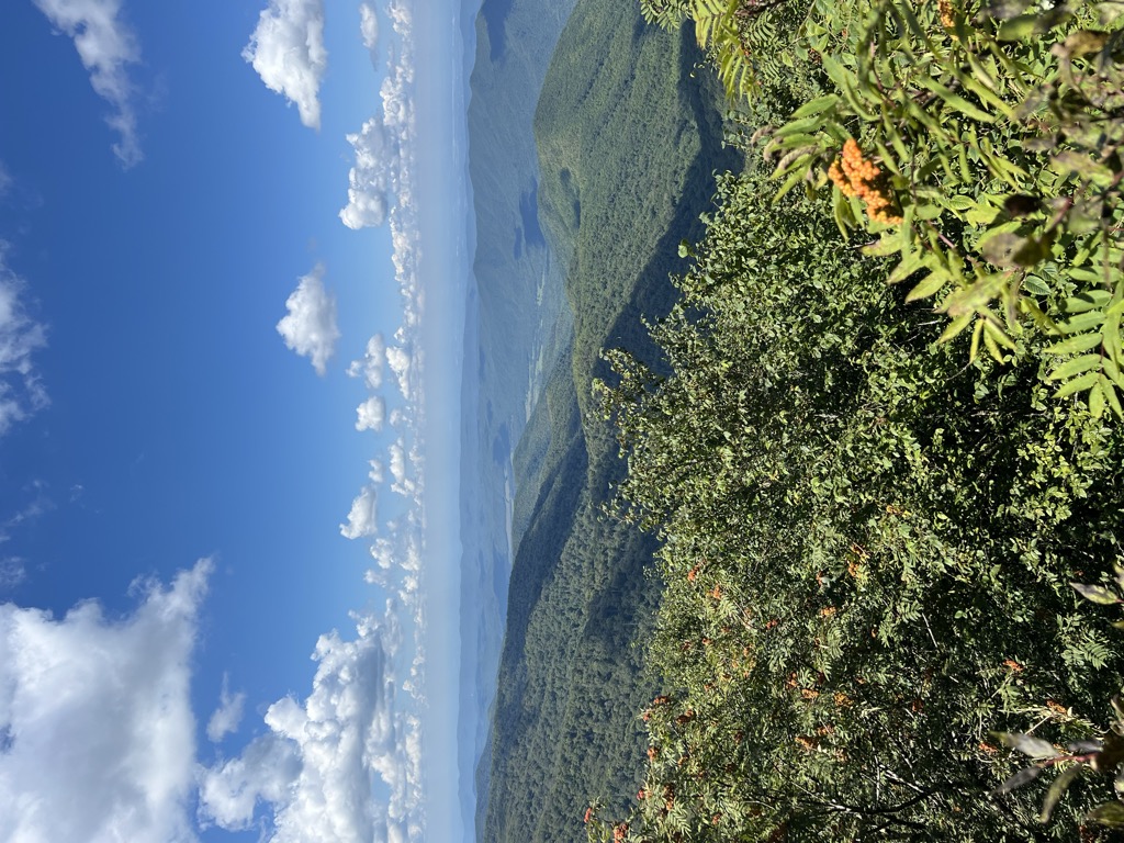 Rocky Top