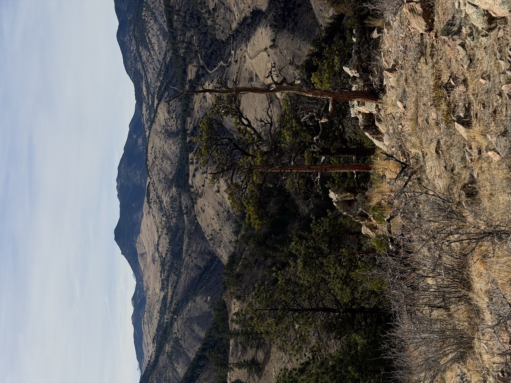 Mount Galbraith
