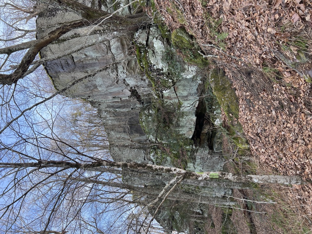 Chimney Top Mountain