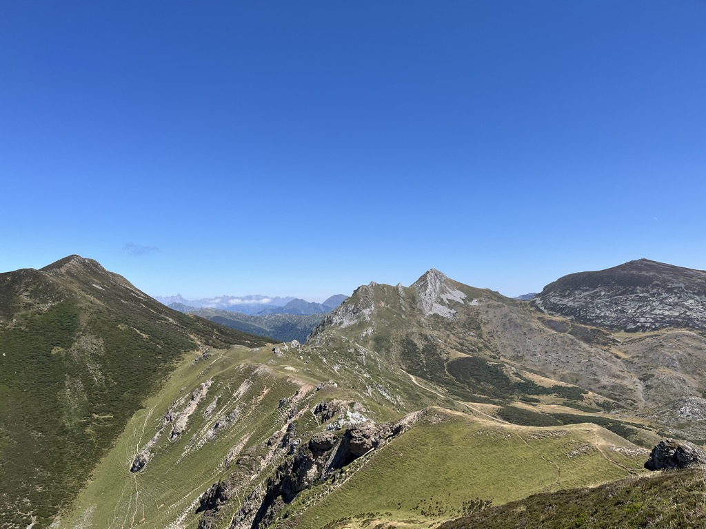 Entrepicos