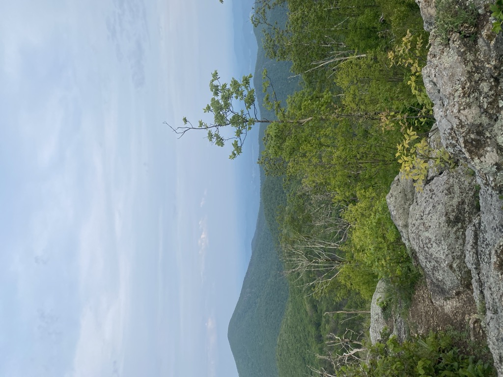 Cole Mountain