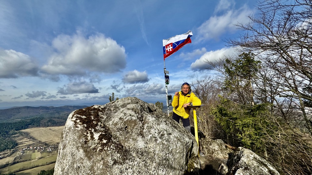 Žibrid