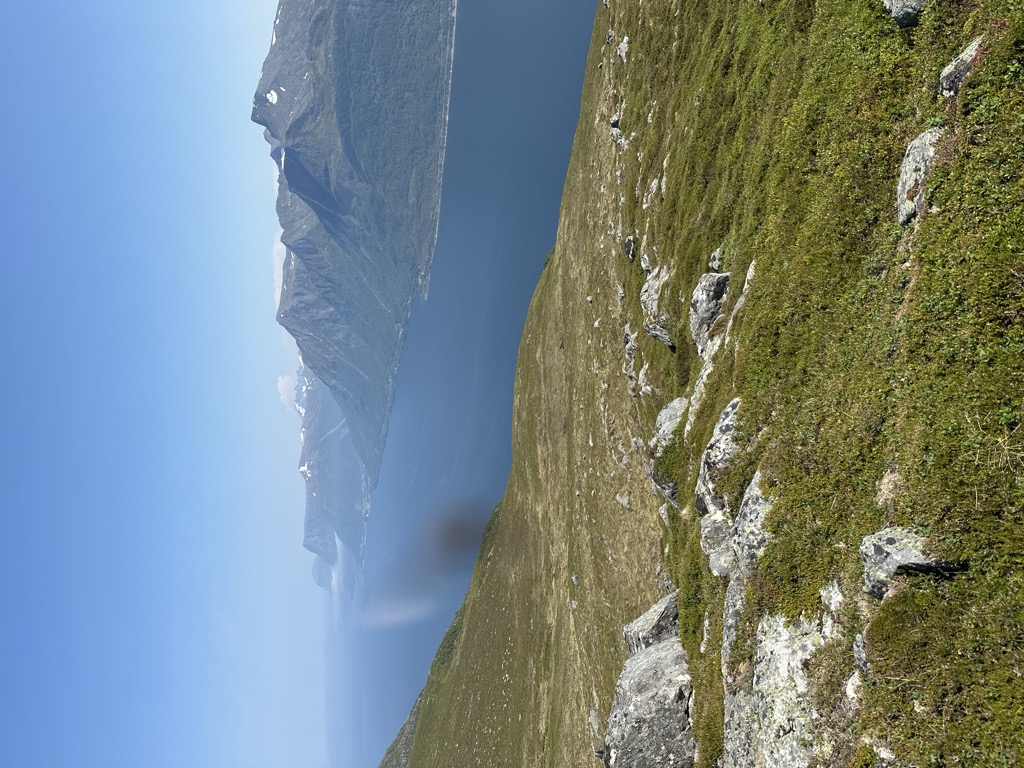 Grøthornet