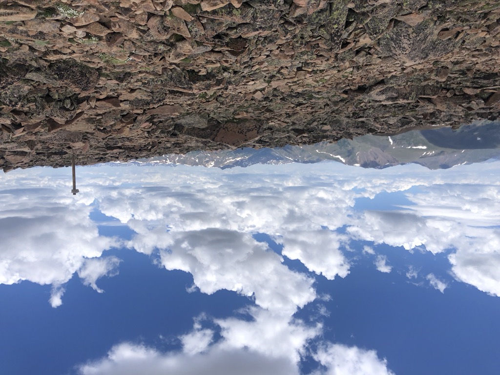 Mount Flora