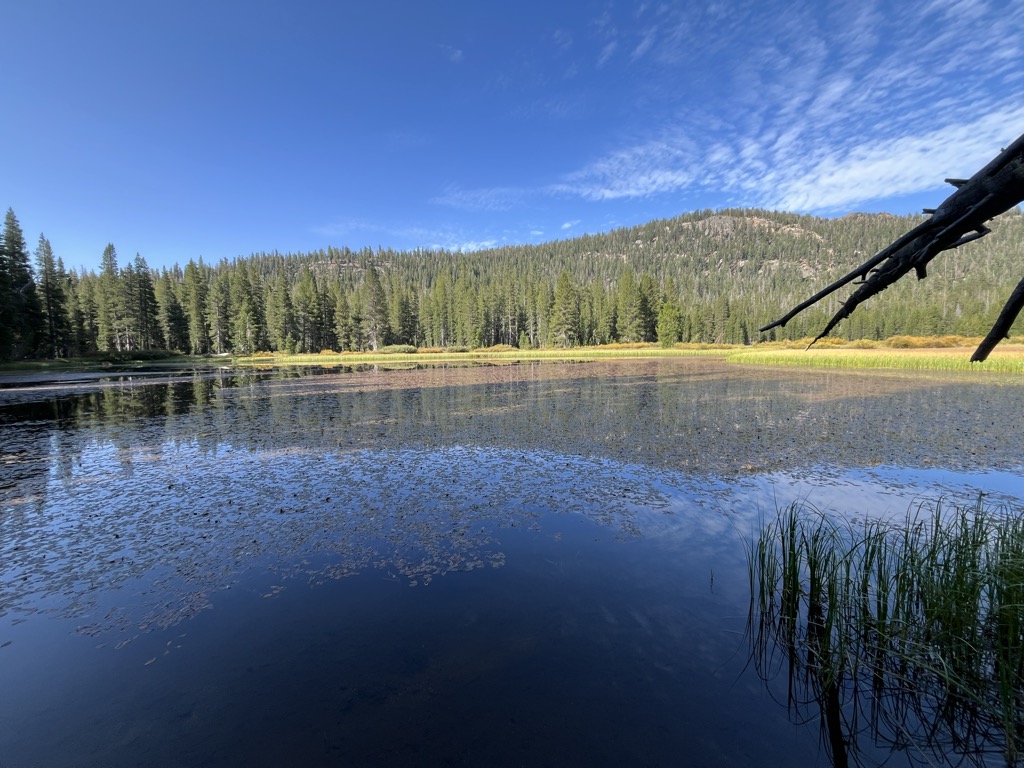 Johnston Lake
